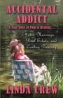 Image for Accidental Addict