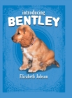 Image for Introducing Bentley