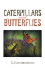 Image for Caterpillars and Butterflies