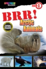 Image for BRR! Arctic Animals: Level 1