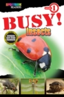 Image for BUSY! Insects: Level 1