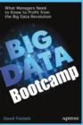 Image for Big Data Bootcamp: What Managers Need to Know to Profit from the Big Data Revolution