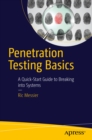 Image for Penetration Testing Basics: A Quick-Start Guide to Breaking into Systems