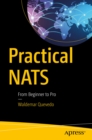 Image for Practical NATS: from beginner to pro
