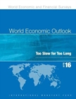 Image for World Economic Outlook, April 2016 (Arabic)