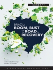 Image for Brazil : boom, bust, and the road to recovery