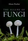 Image for Allure of Fungi