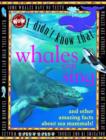 Image for I Didn&#39;t Know That...Some Whales Can Sing
