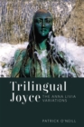 Image for Trilingual Joyce : The Anna Livia Variations
