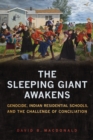 Image for The Sleeping Giant Awakens