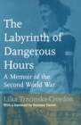 Image for The Labyrinth of Dangerous Hours