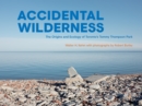 Image for Accidental Wilderness: The Origins and Ecology of Toronto&#39;s Tommy Thompson Park