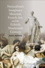 Image for Naturalism&#39;s Imaginary Museum, French Art, and the Eclectic Nineteenth Century