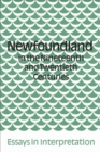 Image for Newfoundland in the Nineteenth and Twentieth Centuries: Essays in Interpretation