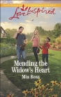 Image for Mending the Widow&#39;s Heart