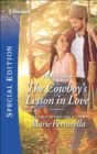 Image for Cowboy&#39;s Lesson in Love