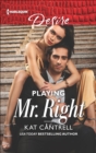 Image for Playing Mr. Right