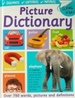 Image for Flying Start Picture Dictionary