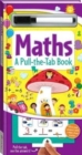 Image for Pull the Tab: Maths