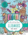 Image for Kaleidoscope Colouring: Llamas and More