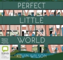 Image for Perfect Little World