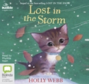 Image for Lost in the Storm
