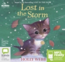 Image for Lost in the Storm