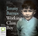 Image for Working Class Boy