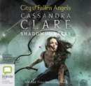 Image for City of Fallen Angels