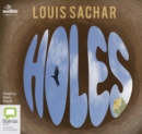 Image for Holes