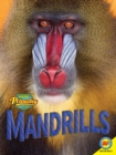 Image for Mandrills