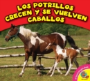 Image for Los potrillos crecen y se vuelven caballos