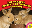 Image for Los gazapos crecen y se vuelven conejos