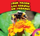 Image for  Que hacen las abejas en verano?