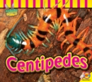 Image for Centipedes