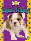 Image for English bulldogs