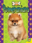 Image for Pomeranians
