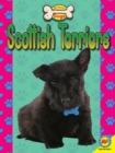 Image for Scottish terriers