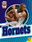 Image for Charlotte Hornets