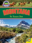 Image for Montana: the Treasure State