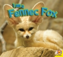 Image for Fennec fox
