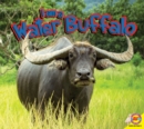 Image for Water buffalo