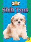 Image for Shih tzus