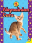 Image for Abyssinian cats