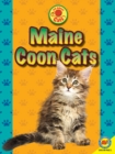 Image for Maine coon cats