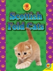 Image for Scottish fold cats