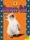 Image for Siamese cats