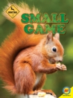 Image for Small game