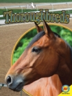 Image for Thoroughbreds