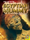 Image for Life of an Egyptian Mummy